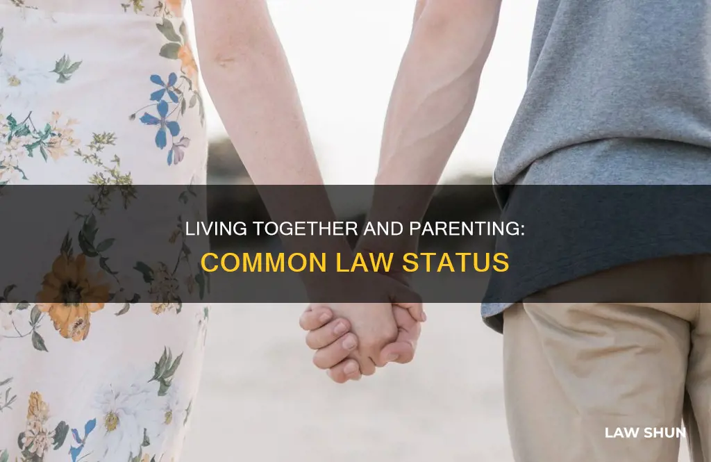 are you common law if you have a child together
