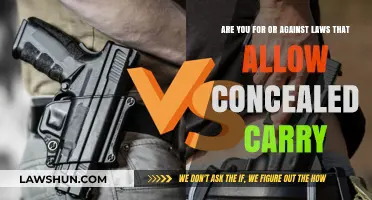 Concealed Carry Laws: Empowering Self-Defense or Heightening Public Risk?
