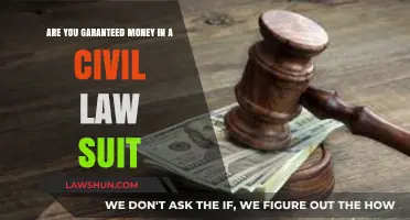 Are You Guaranteed Money in a Civil Lawsuit? What to Expect