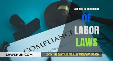 Are You Compliant with Labor Laws? Key Questions to Ask
