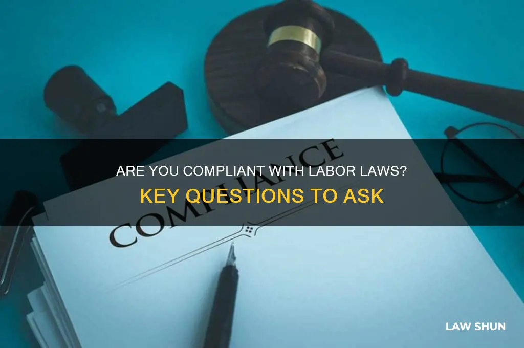 are you in compliant of labor laws