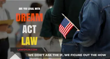 Understanding Dream Act Law: Are You Legally Protected?