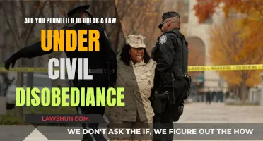 Civil Disobedience: When is Law-Breaking Justified?