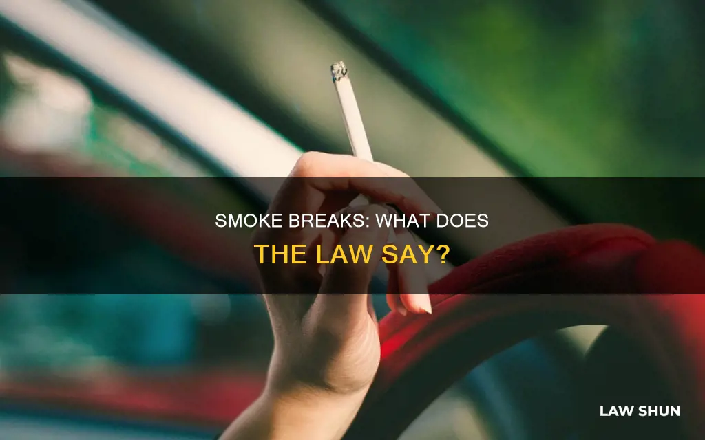 are you requred by law to give smoke breaks