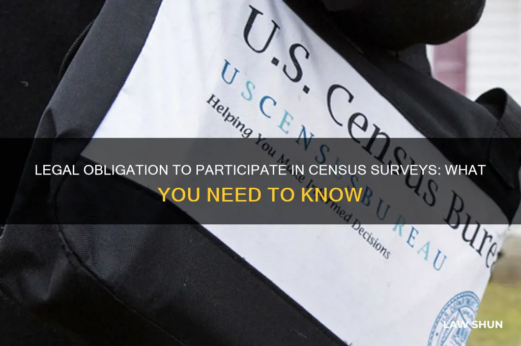 are you rrquired by law to do a cenus survey