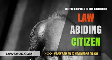 Should You Like Sheldon in Law Abiding Citizen? A Moral Dilemma