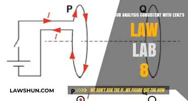 Lenz's Law Lab 8: Ensuring Consistency in Your Analysis