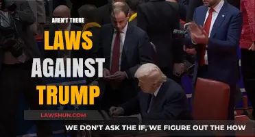 Legal Limits: Are There Laws to Restrain Trump's Actions?