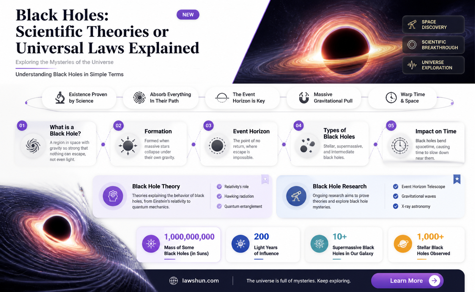 are black holes theories or laws