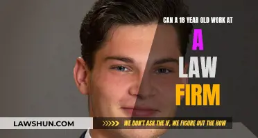 Working at a Law Firm: Opportunities for 18-Year-Olds