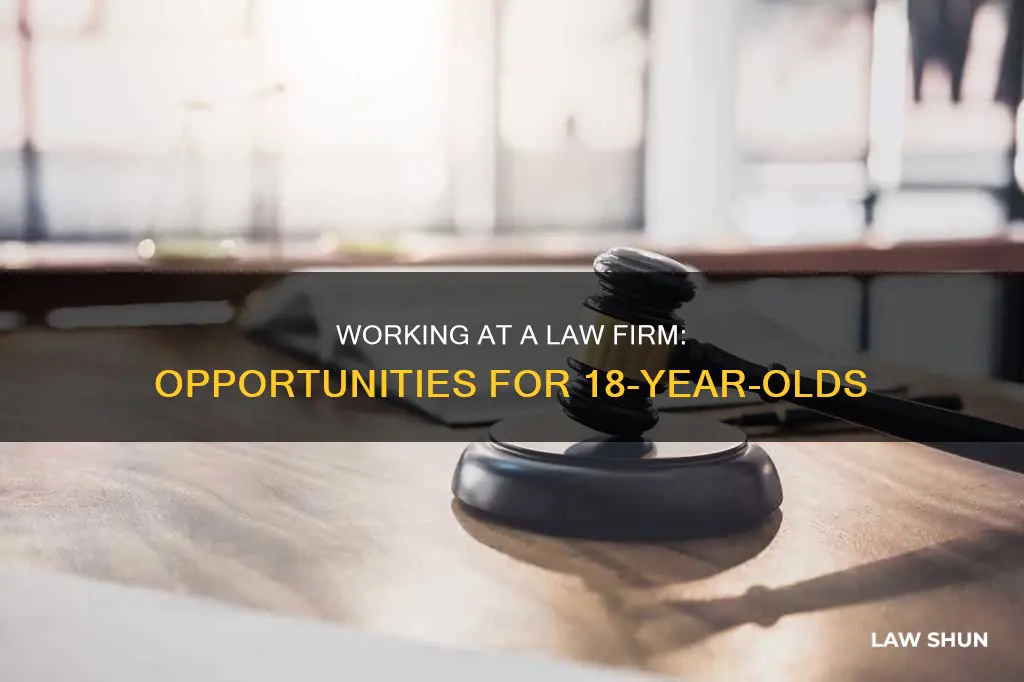 can a 18 year old work at a law firm