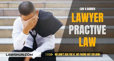 Barred Lawyers: Practicing Law or Breaking the Rules?