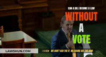 How Laws are Made: Bills, Votes and All