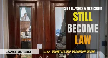 How Vetoed Bills Can Become Laws