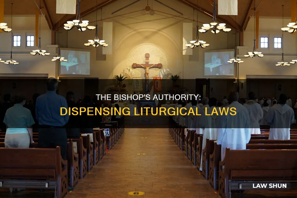 can a bishop dispense a liturgical law