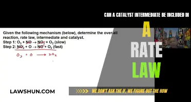 Catalyst Intermediates: Their Role in Rate Laws