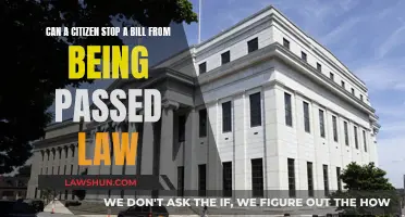 How Citizens Can Block A Bill From Becoming Law