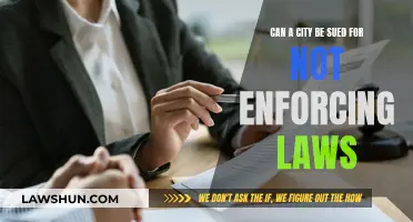 Who is Responsible When Laws Are Not Enforced?