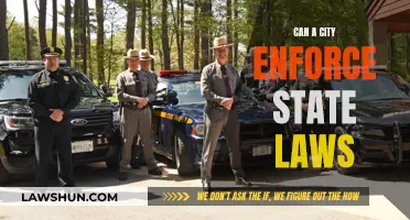 Who Enforces the Law? City vs State Jurisdiction