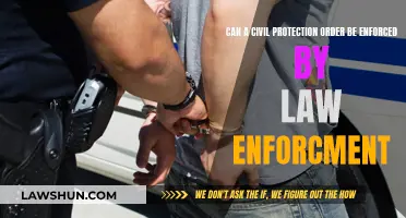 Civil Protection Orders: Law Enforcement's Role and Responsibility