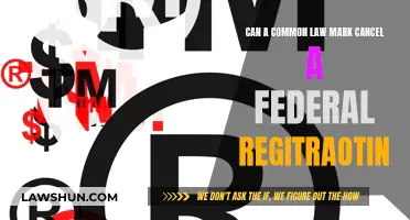 Common Law Marks: Overriding Federal Registrations?