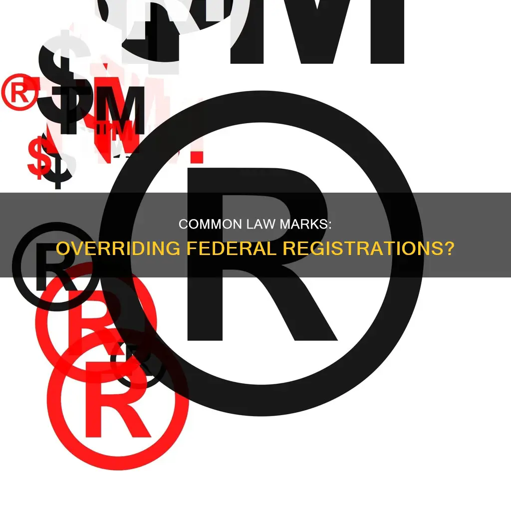 can a common law mark cancel a federal regitraotin