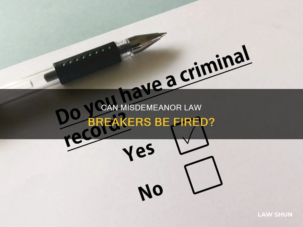 can a company fire someone for breaking a m7sdomeanor law