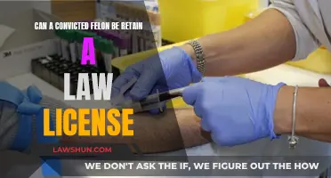 Can Felons Practice Law? Exploring License Retention for Convicts