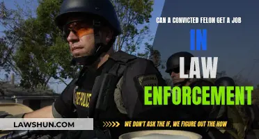 Felons in Law Enforcement: Career Prospects?