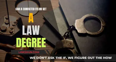 A Law Degree After Felony Conviction: Is It Possible?