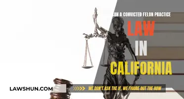 Felons and the California Bar: Can They Practice?