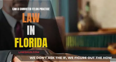 Felons and Florida Law: Can They Practice?