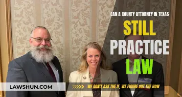 Texas County Attorney: Can They Practice Law?