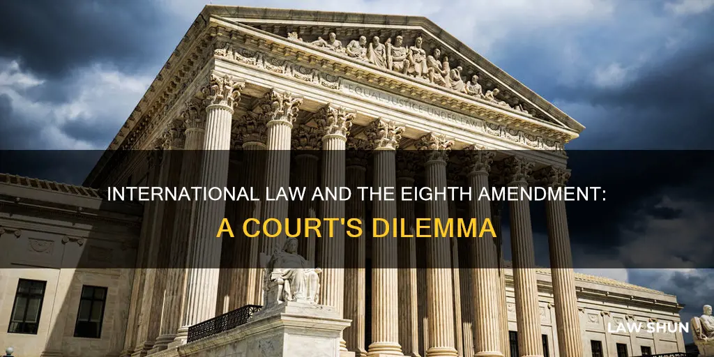 can a court consider international law for 8th amendment