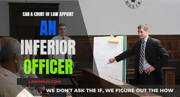 Who Can Appoint: Courts and Inferior Officers