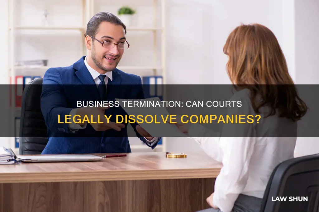 can a court of law legally terminate a business