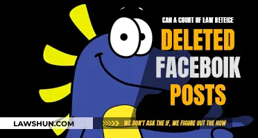 Retrieving Deleted Facebook Posts: Can the Law Access Them?