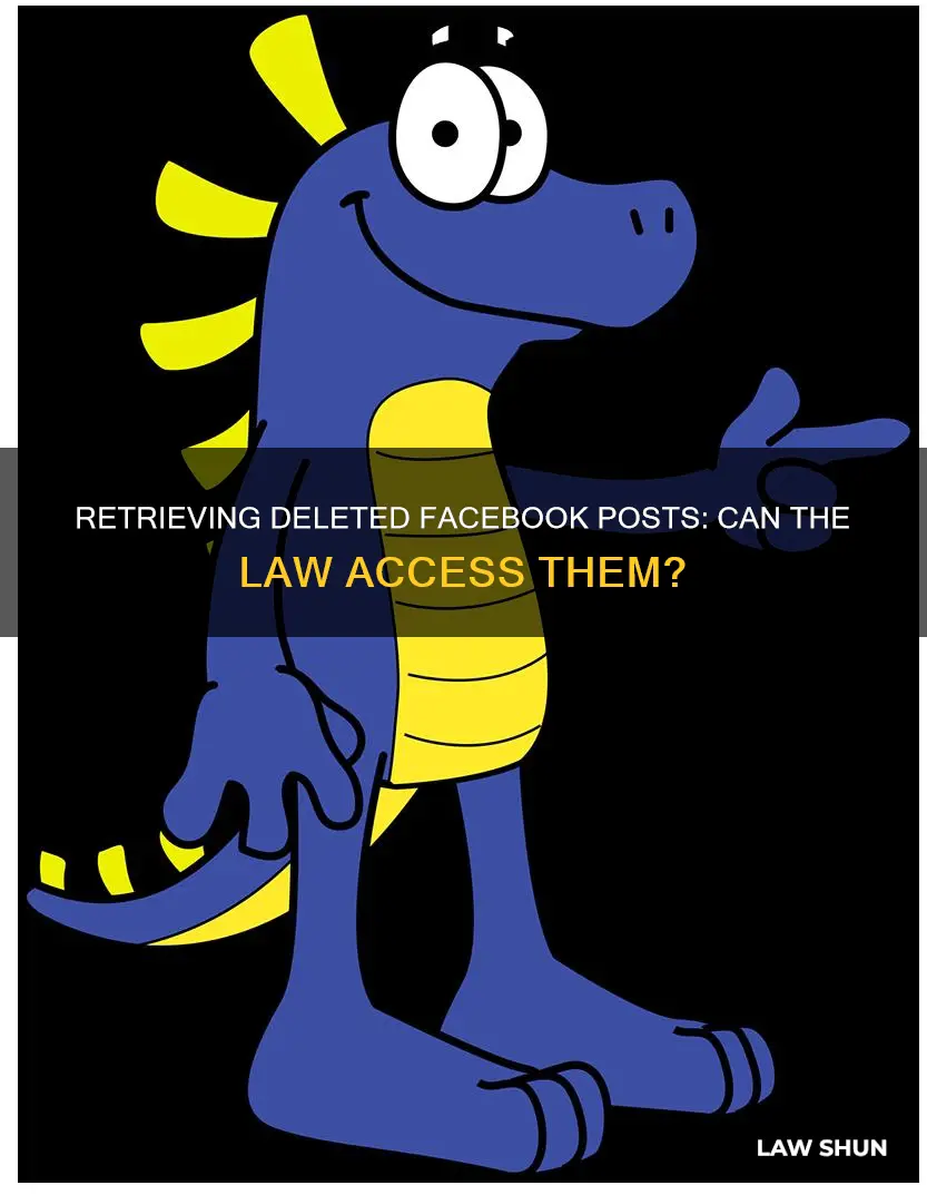 can a court of law reteice deleted faceboik posts