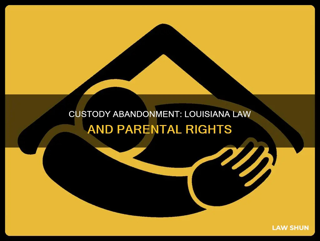 can a custody matter abandon under louisiana law