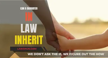 Inheritance Rights: Daughters-in-Law and Their Entitlements