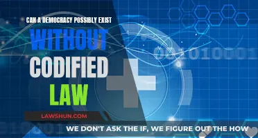 Codified Law: Democracy's Essential Pillar?