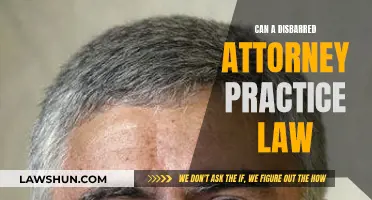 Disbarred Attorneys: Can They Still Practice Law?