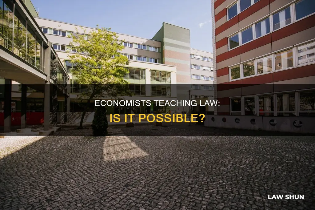 can a economist teach law