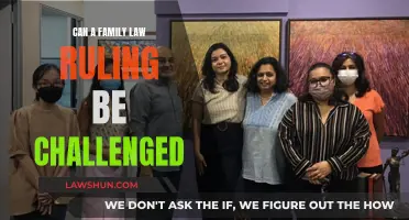 Challenging Family Law Rulings: Is It Possible?
