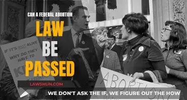 Federal Abortion Law: Can It Be Passed?