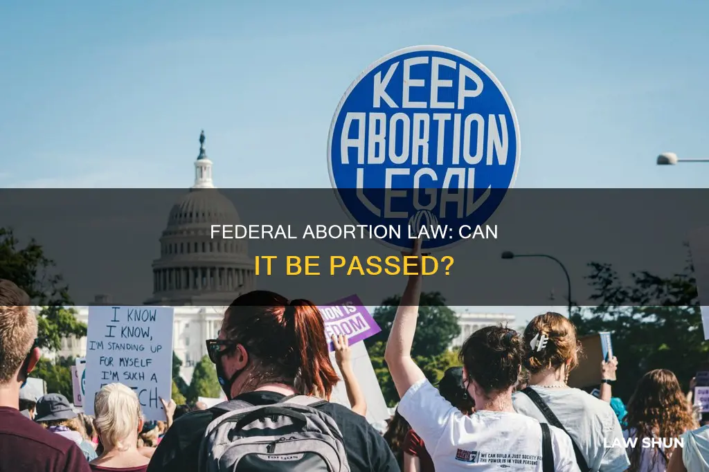 can a federal abortion law be passed