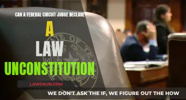 Circuit Judge Power: Unconstitutional Law?