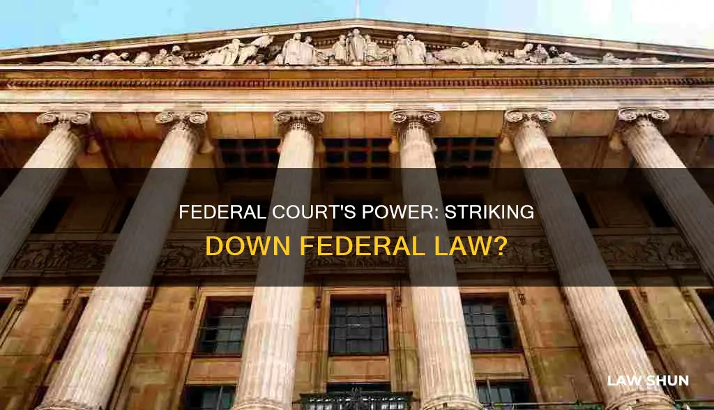 can a federal court strike down federal law