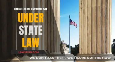 Federal Employees: State Lawsuits and Their Complexities