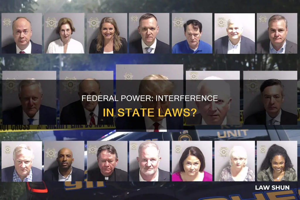 can a federal government interfere with state laws